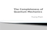 The Completeness of Quantum Mechanics