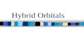 Hybrid Orbitals