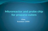 Microreactor  and probe chip for propane-eaters