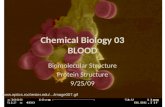 Chemical Biology 03 BLOOD