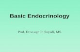 Basic  Endocrin ology
