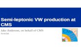 Semi-leptonic VW production at CMS