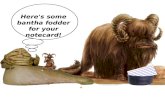 Here's some  bantha  fodder for your  notecard !