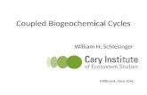 Coupled Biogeochemical Cycles