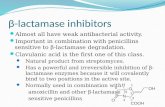 β -lactamase inhibitors
