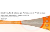 Distributed Storage Allocation Problems