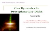 Gas Dynamics in Protoplanetary Disks