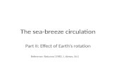 The sea-breeze circulation