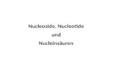 Nucleoside, Nucleotide  und  Nucleinsäuren