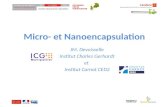 Micro- et Nanoencapsulation