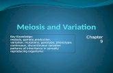 Meiosis and Variation