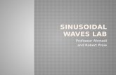 Sinusoidal Waves Lab