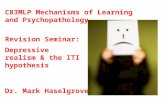 Revision Seminar: Depressive realism & the ITI hypothesis