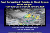 Anvil Generation in Relation to Cloud System  Water Budget:  TWP-ICE Case of 19-20 January 2006