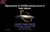 Signatures of ΛCDM substructure in tidal debris