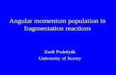 Angular momentum population in fragmentation reactions