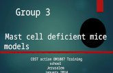 Group 3   Mast cell deficient mice models