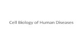 Cell Biology of Human Diseases