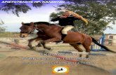 TRAINING MANUAL IN HORSEBACK ARCHERY AND IN EQUESTRIAN MARTIAL ARTS