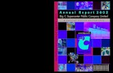 BIGC: Annual Report 2002