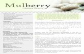 Catálogo- Mulberry