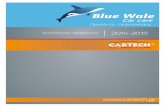 Catalog blue whale