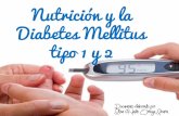 Diabetes mellitus y nutrición