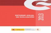Informe anual cooperación 2013