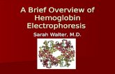 Hemoglobinopathy Sarah Walter