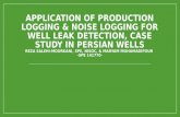 Application of Production Logging & Noise Logging For