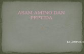 Pptku Asam Amino n Peptida