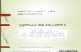 Metabolismo Del Glucógeno