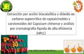 Extracción por acción biocatalitica y dióxido de carbono supercrítico de capsaicinoides y carotenoides del Capsicum chínense y análisis por cromatografía liquida de alta eficiencia