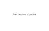 Basic structures of proteins. Structural Hierarchy of Protein Primary structure Fold (Scaffold) Motif Secondary structure Functional element A Functional.
