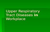 Upper Respiratory Tract Diseases in Workplace. Characteristics of upper resp. tract NNNNares to larynx TTTTasks: AAAAir conditioning (T and.
