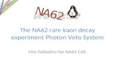 The NA62 rare kaon decay experiment Photon Veto System Vito Palladino for NA62 Coll.