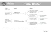 LCC REC-1 Φ π π π Φ Φ See Primary and Adjuvant Treatment (LCC REC-3) Observe or See Primary Treatment (LCC REC-3) Rectal Cancer.