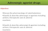 Adrenergic agonist drugs Objectives Discuss the pharmacology of catecholamines Classify & describe adrenergic α-agonists including actions, therapeutic.
