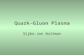 Quark-Gluon Plasma Sijbo-Jan Holtman. Overview Introduction Phases of nuclear matter Thermodynamics Experiments Conclusion.