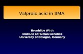 Valproic acid in SMA Brunhilde Wirth Institute of Human Genetics University of Cologne, Germany.