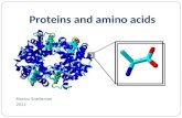 Marlou Snelleman 2011 Proteins and amino acids. Overview Proteins Primary structure Secondary structure Tertiary structure Quaternary structure Amino.