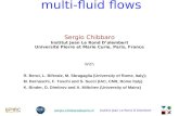 Institut Jean Le Rond D’ @upmc.fr Hydro-kinetic approach to multi-fluid flows Sergio Chibbaro Institut Jean Le Rond D’alembert Université