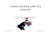 Protein docking with PCS restraints Christophe Schmitz29 September 2010.