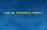 Section K – Transcription in prokaryotes. K1 Basic principles of transcription Transcription: an overview, Initiation, Elongation, TerminationTranscription: