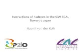 Interactions of hadrons in the SiW ECAL Towards paper Naomi van der Kolk.