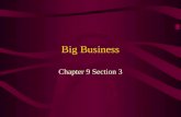 Big Business Chapter 9 Section 3. Monopolies A monopoly (from Greek monos / μονος (alone or single) + polein / πωλειν (to sell)) exists when a specific.