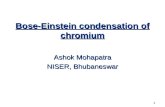 1 Bose-Einstein condensation of chromium Ashok Mohapatra NISER, Bhubaneswar.