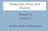 Molecules, Gene and disease Session 1 Lecture 2 Amino acids and protein.