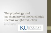 The physiology and biochemistry of the Paleolithic Diet for weight reduction David C. Pendergrass, Ph.D. University of Kansas.