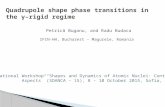 Petrică Buganu, and Radu Budaca IFIN-HH, Bucharest – Magurele, Romania International Workshop “Shapes and Dynamics of Atomic Nuclei: Contemporary Aspects”
